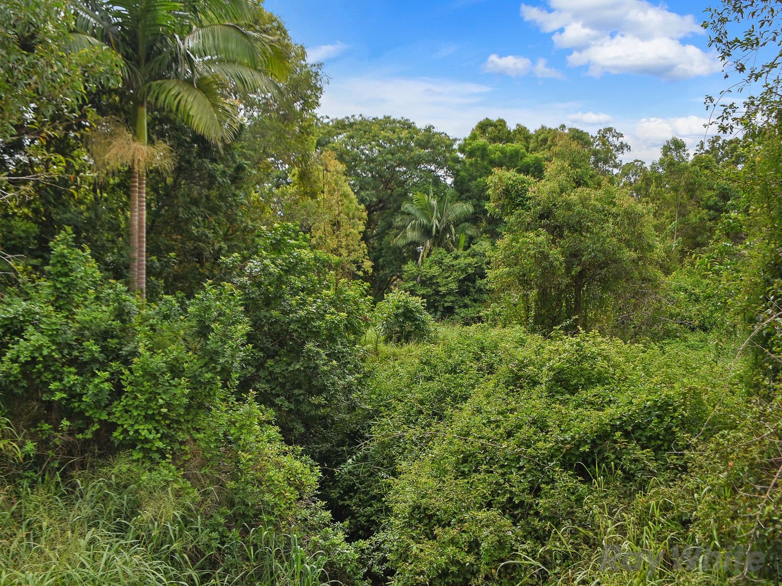 12/5 Brentham Street, Leederville, Leederville - Thumbnail 5