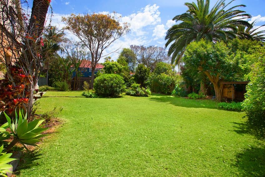 32 Orlando Avenue, Mosman NSW 2088, Mosman - Image 1