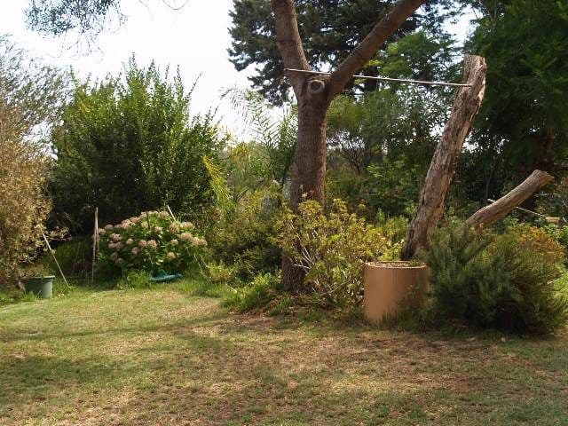 Sec 100 Law Road, WAIKERIE SA 5330, Waikerie - Thumbnail 6