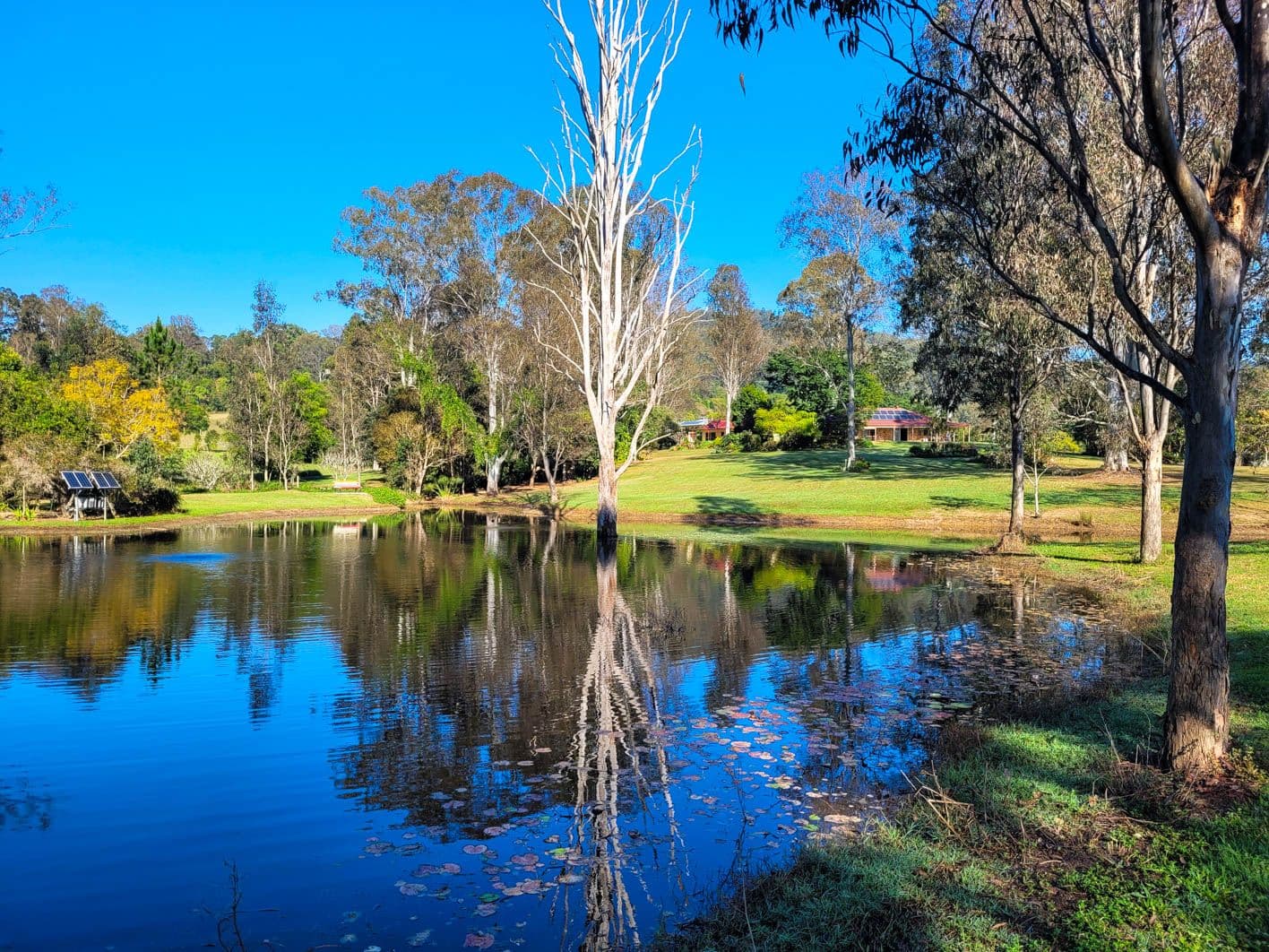 46A Country Road, Palmwoods QLD 4555, Palmwoods - Thumbnail 2