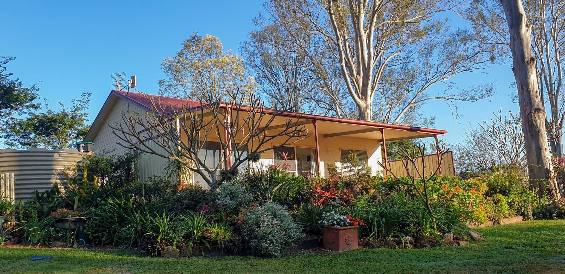 46A Country Road, Palmwoods QLD 4555, Palmwoods - Thumbnail 5
