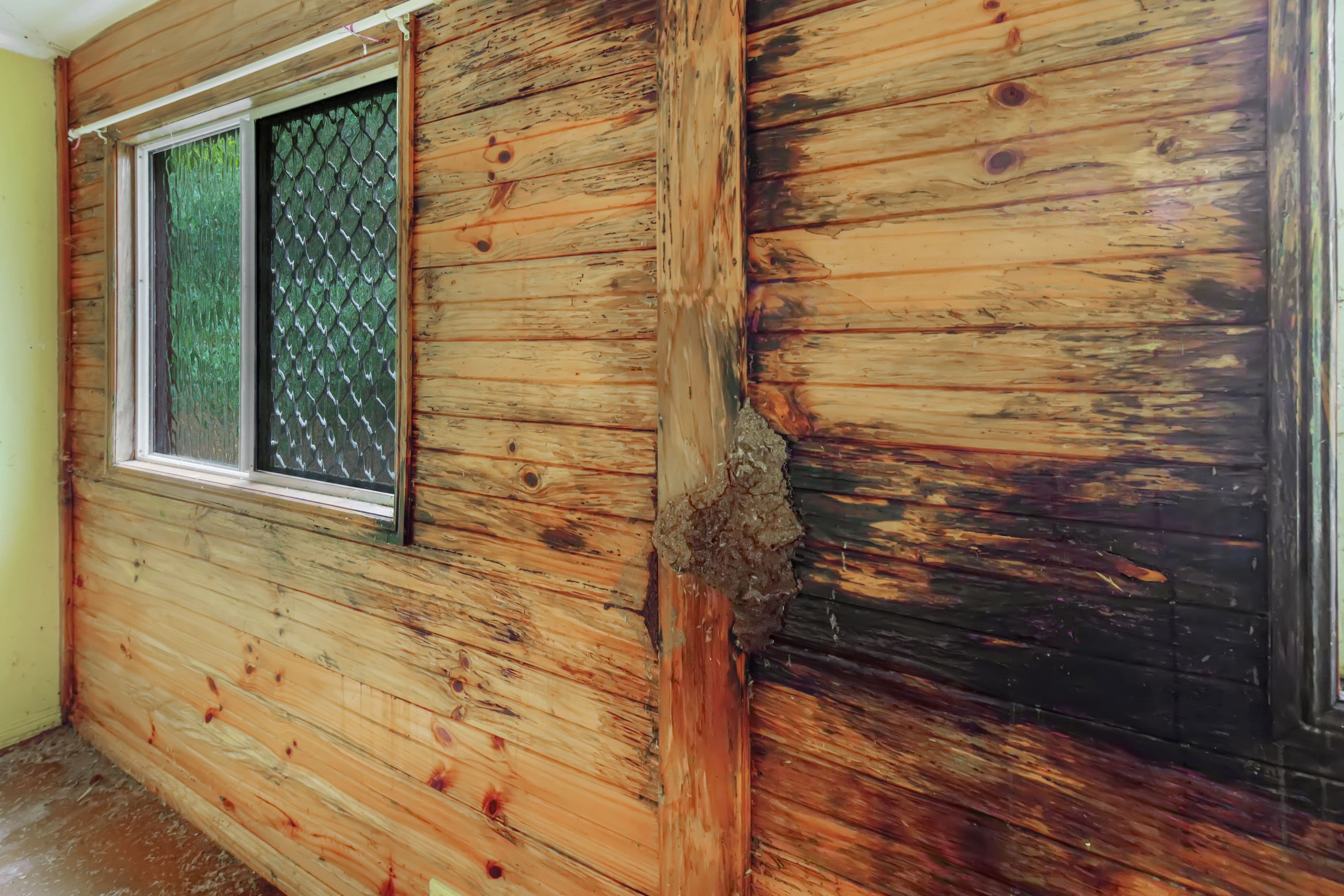 47-51 Blackall Terrace, Nambour QLD 4560, Nambour - Thumbnail 4