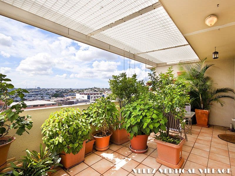 Level 8 35-41 Gotha Street, FORTITUDE VALLEY QLD 4006, Fortitude Valley - Thumbnail 4