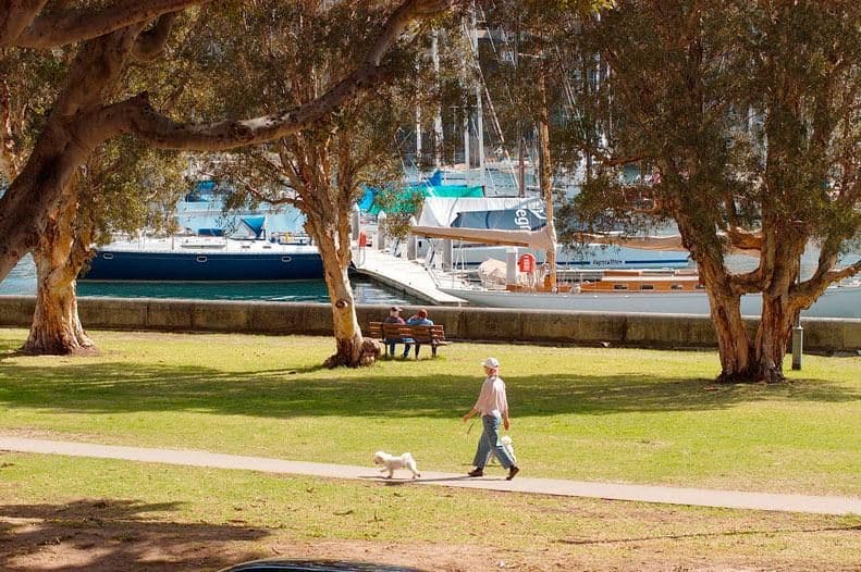 153 Bayswater Road, RUSHCUTTERS BAY NSW 2011, Rushcutters Bay - Thumbnail 6