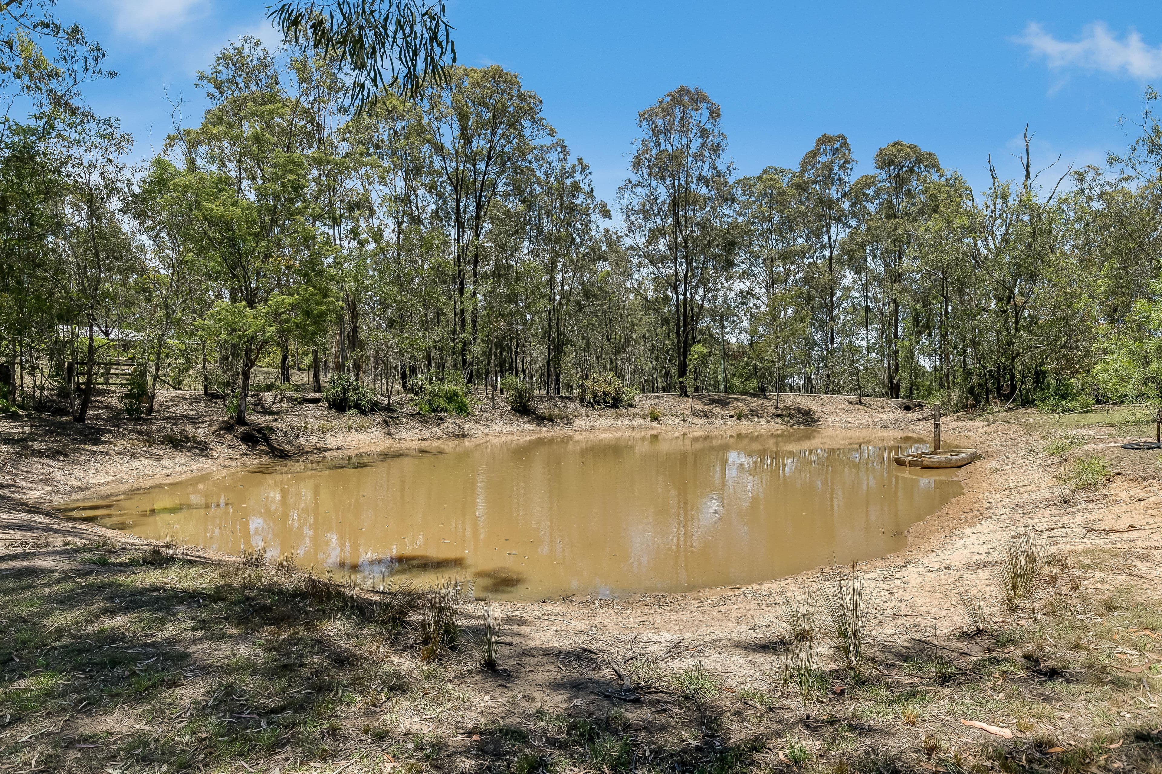 34 Porteus Road, Withcott QLD 4352, Withcott - Thumbnail 4