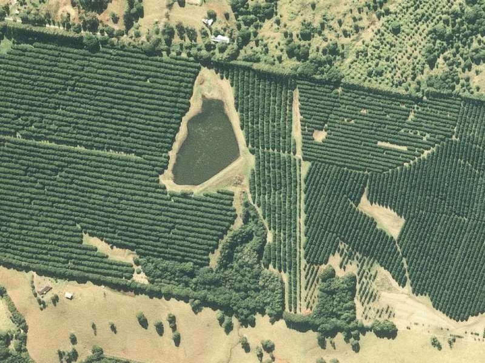 1594 Dunoon Road, Dunoon - Thumbnail 4