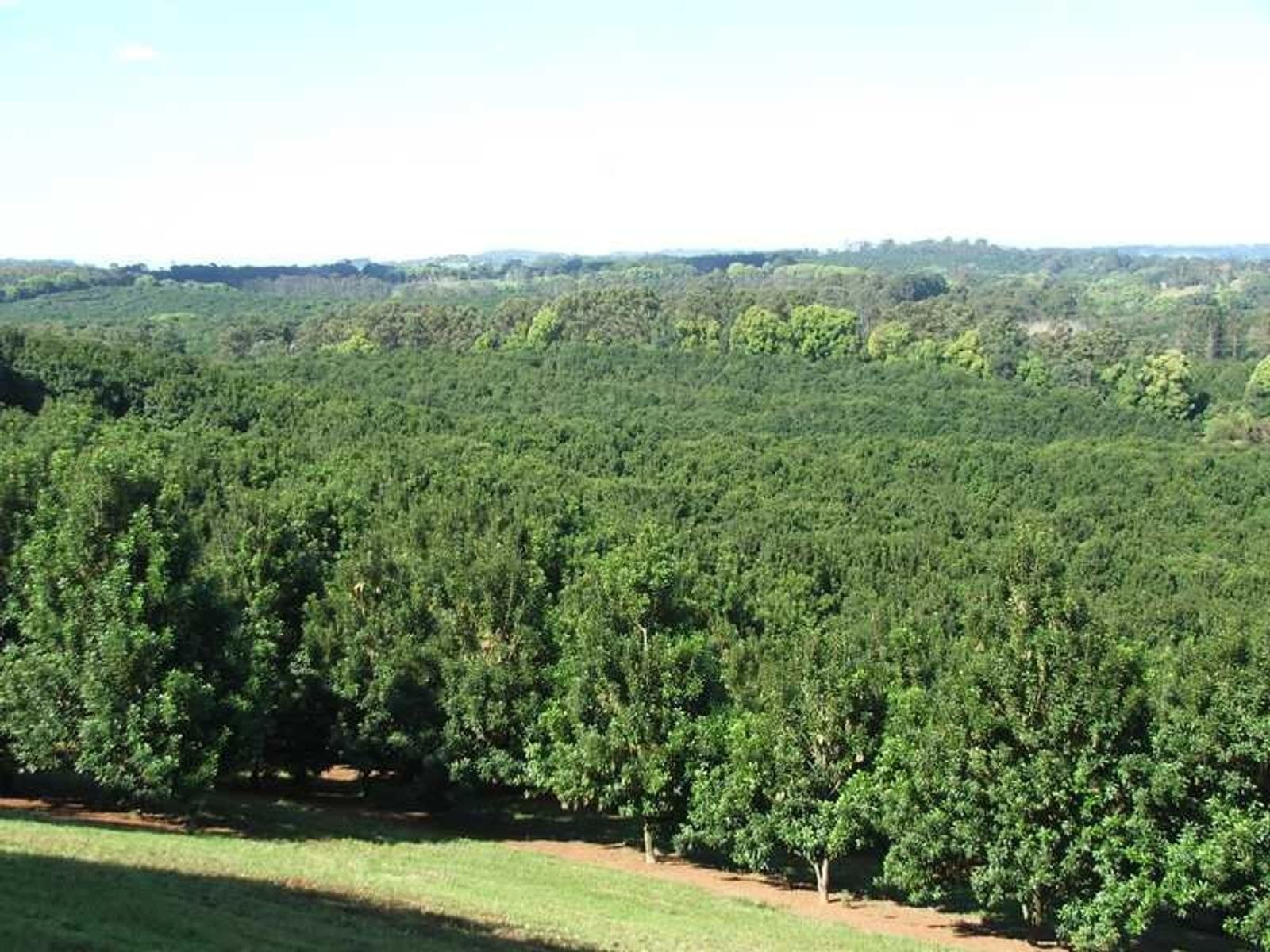 1594 Dunoon Road, Dunoon - Thumbnail 8