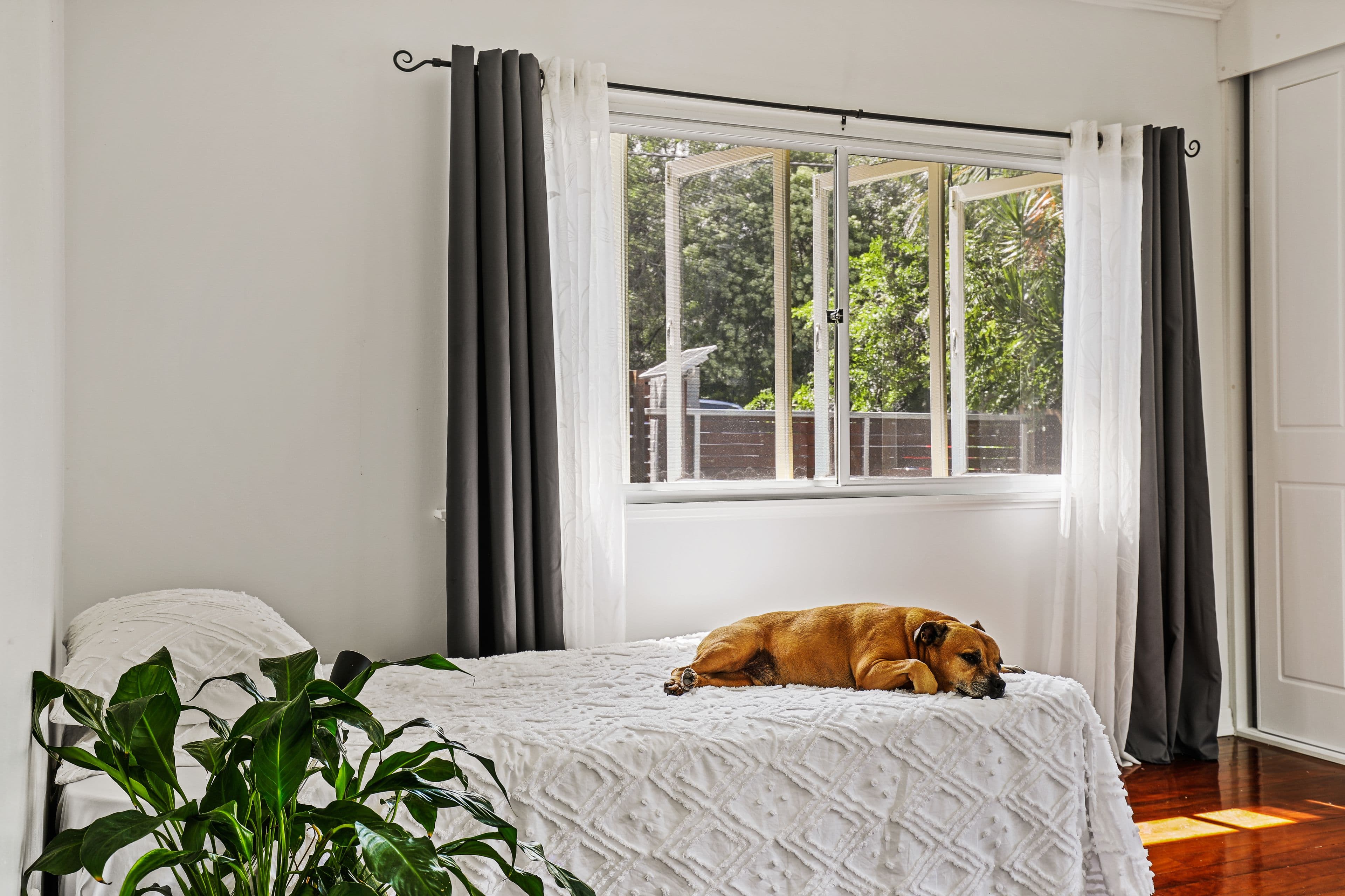 244 Queens Parade, Brighton QLD 4017, Brighton - Thumbnail 5
