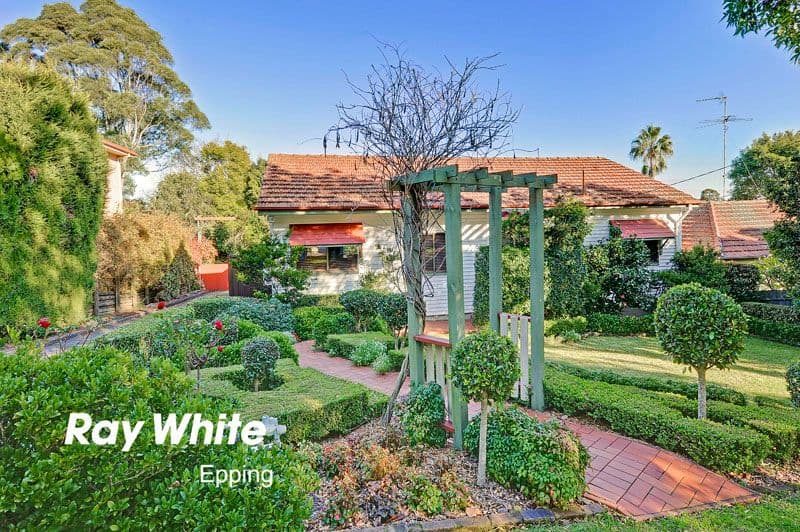 41 Downing Street, EPPING NSW 2121, Epping - Thumbnail 3