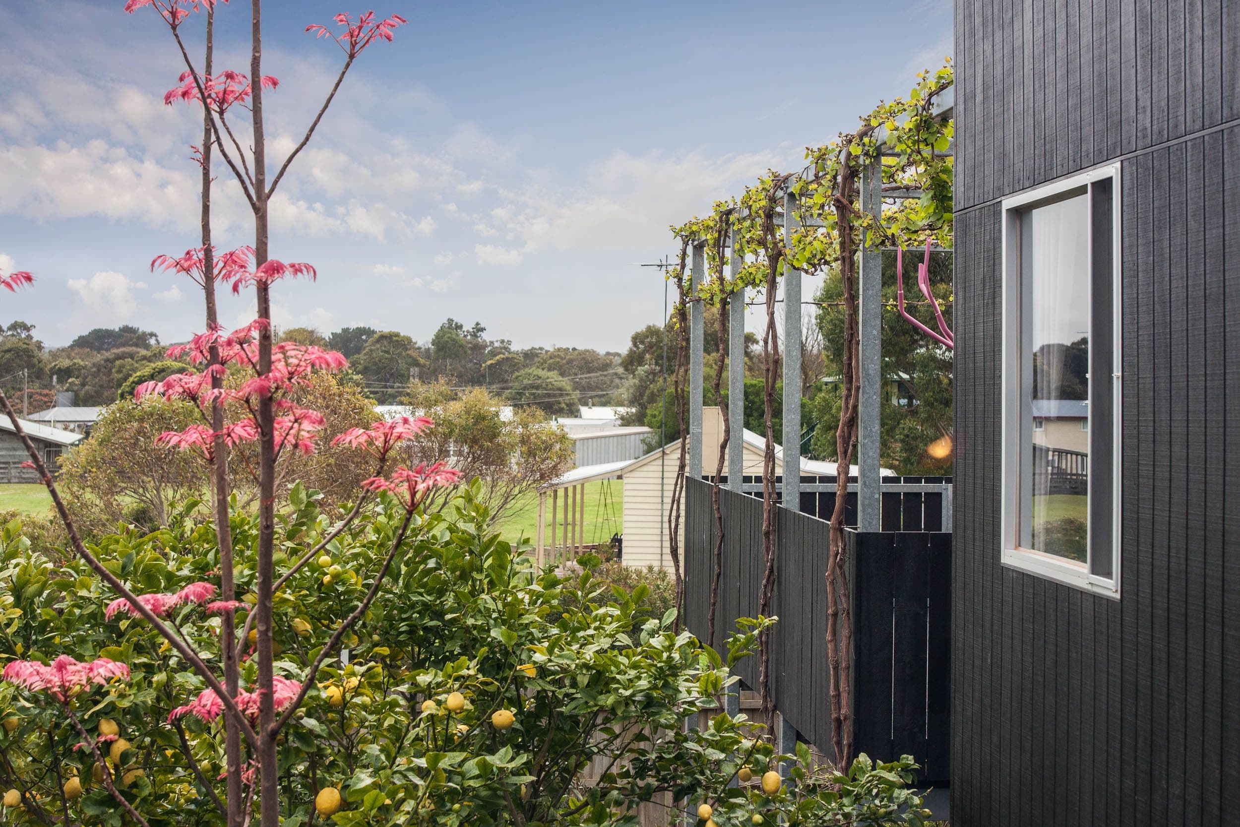 8 Mark Street, Nelson VIC 3292, Nelson - Thumbnail 7