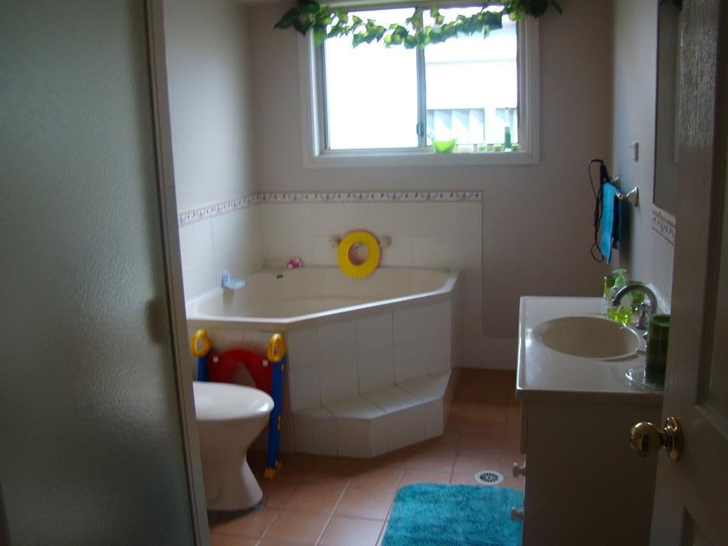 9 Mannikin Place, MOUNT DRUITT NSW 2770, Mount Druitt - Thumbnail 6