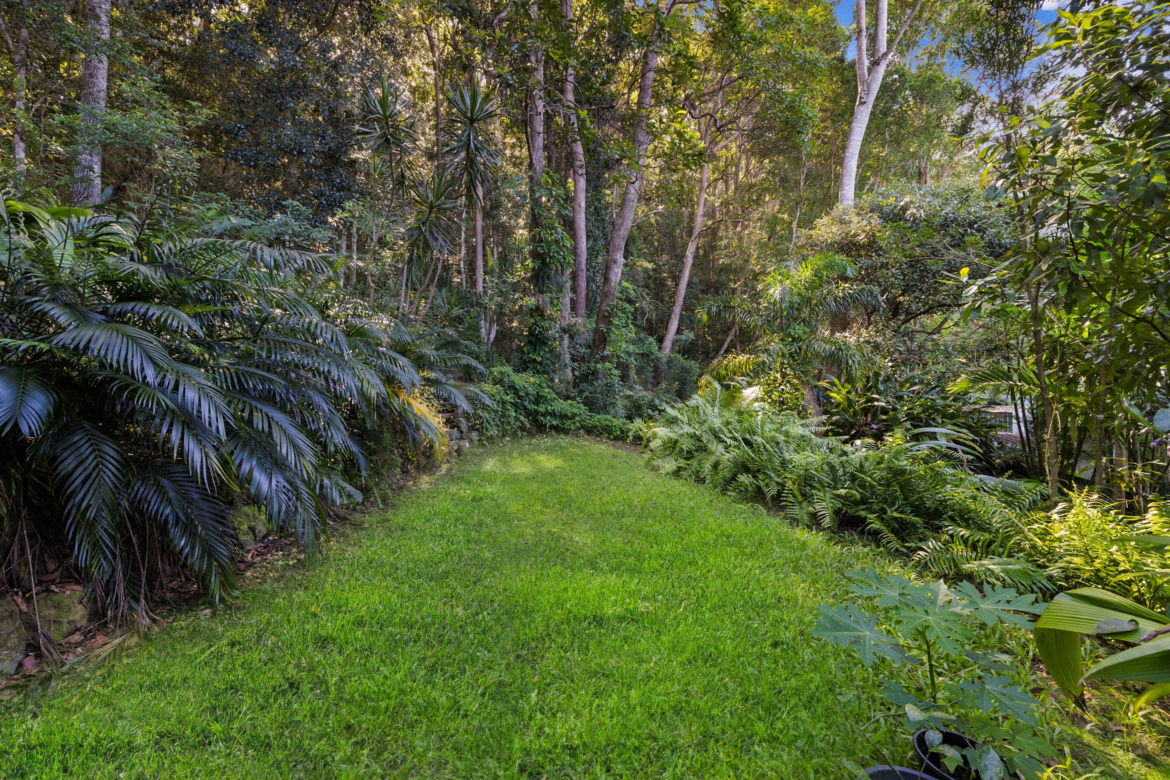 30 Turnipwood Drive, Buderim QLD 4556, Buderim - Thumbnail 3