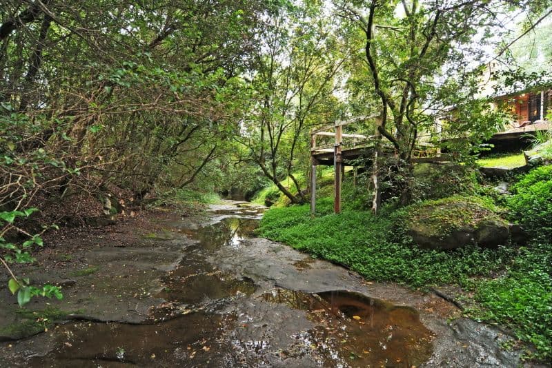 58 Moss Vale Road, KANGAROO VALLEY NSW 2577, Kangaroo Valley - Thumbnail 8