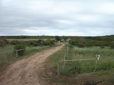 26 Matsen Road, BOOKARA WA 6525, Bookara - Thumbnail 5