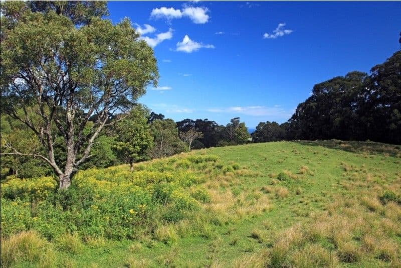 FOXGROUND NSW 2534, Foxground - Image 1