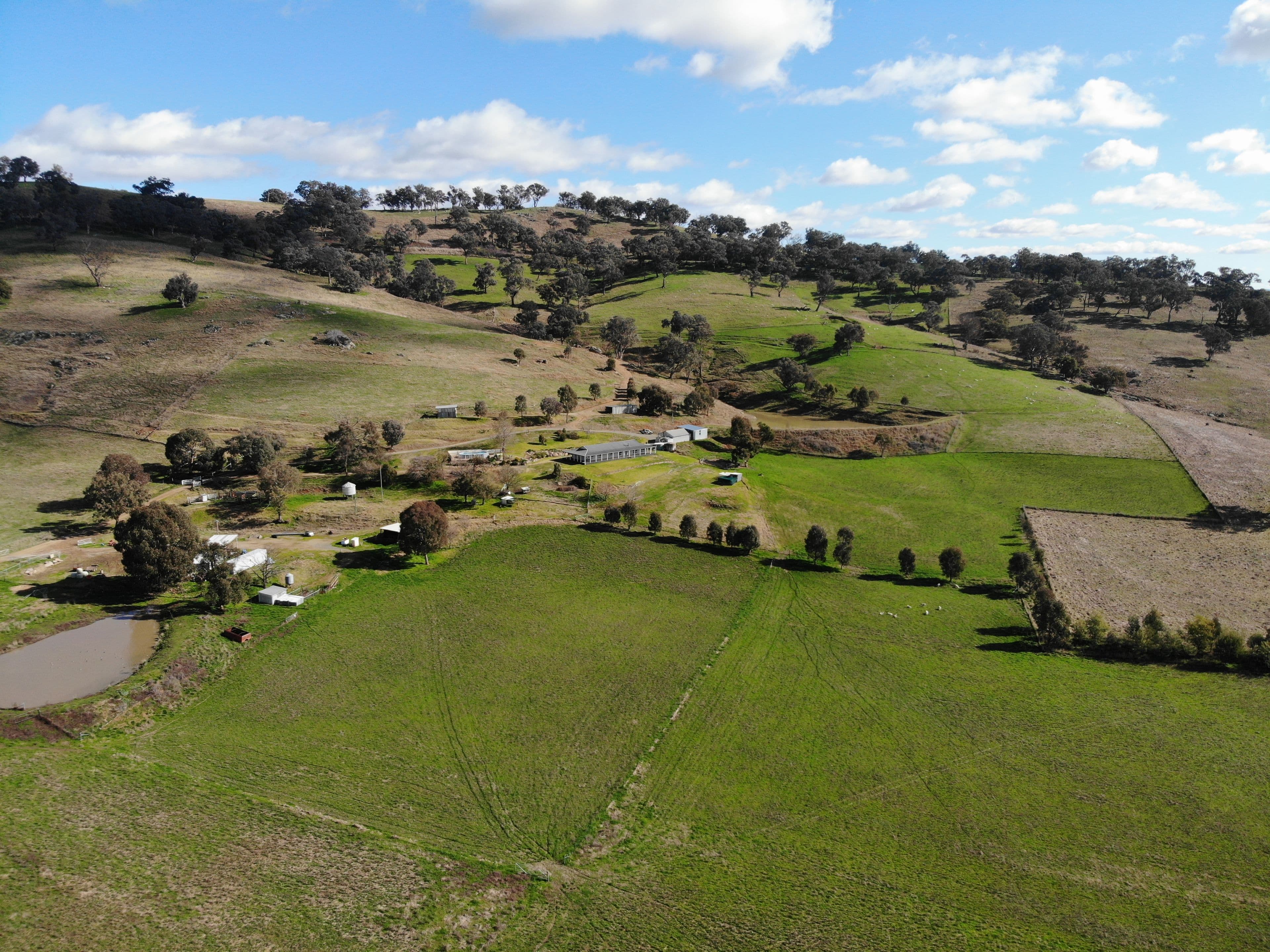 131 Sandy Gully Road "Sunnyside", Adelong NSW 2729, Adelong - Thumbnail 2