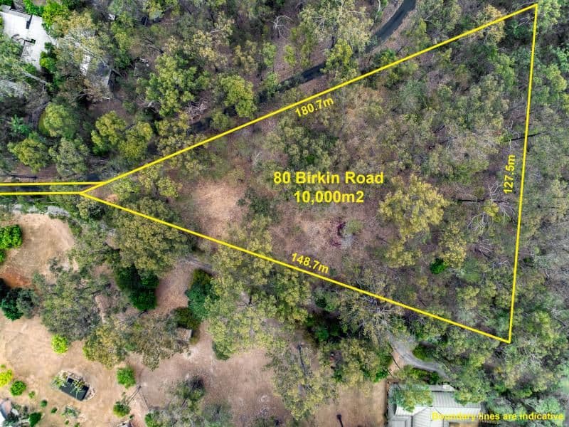 80 Birkin Road, Bellbowrie QLD 4070, Bellbowrie - Thumbnail 5
