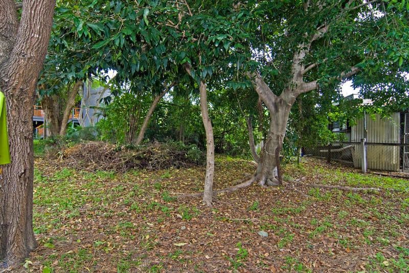 54 Howard Street, Grange QLD 4051, Grange - Thumbnail 8