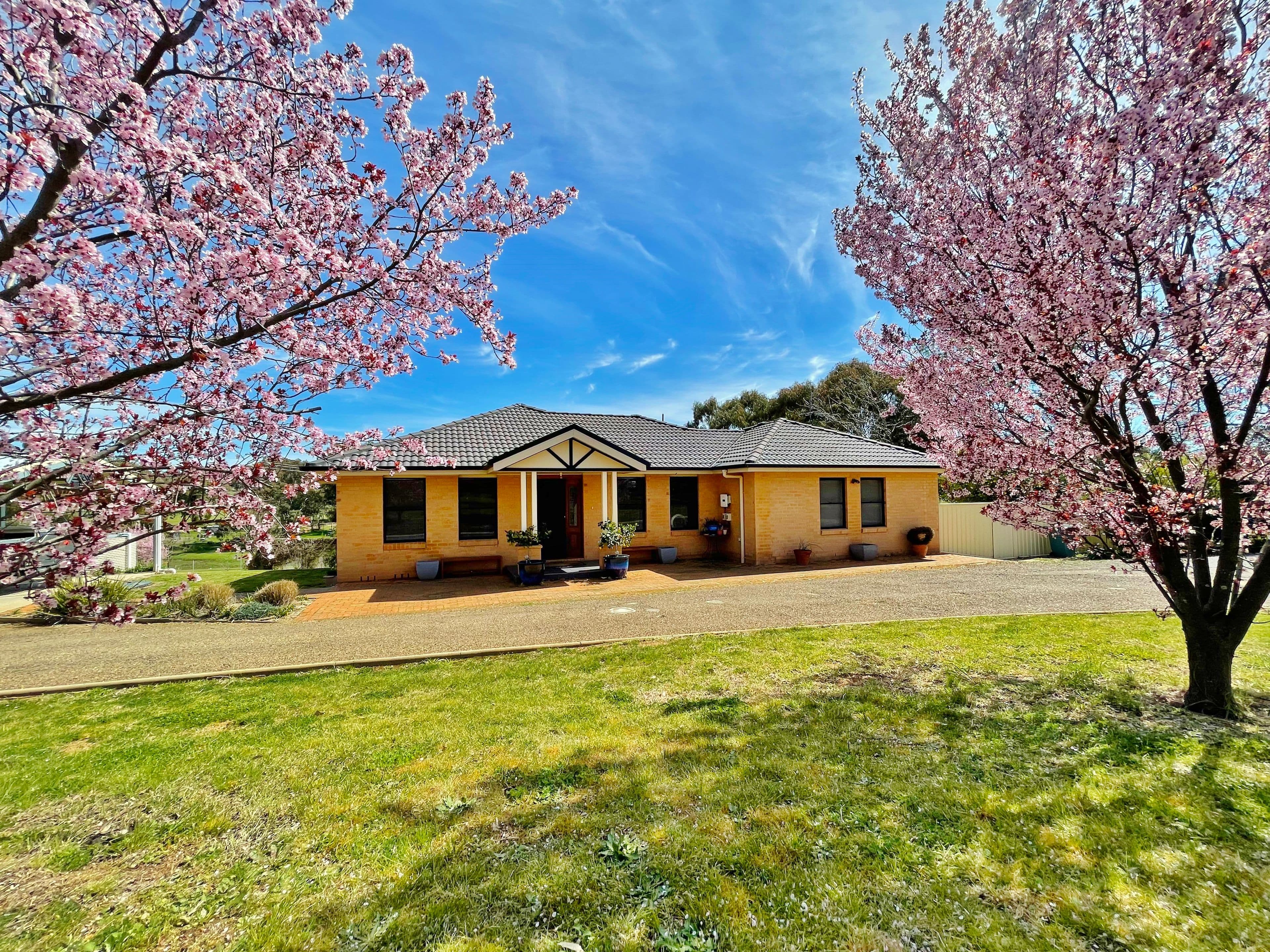 4515 Olympic Highway, Young NSW 2594, Young - Image 1