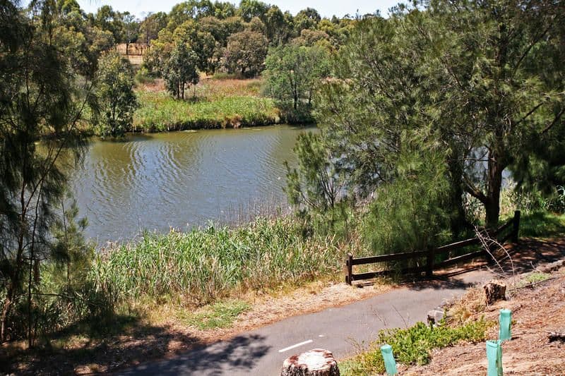 20 Barwon Boulevard, HIGHTON VIC 3216, Highton - Thumbnail 3