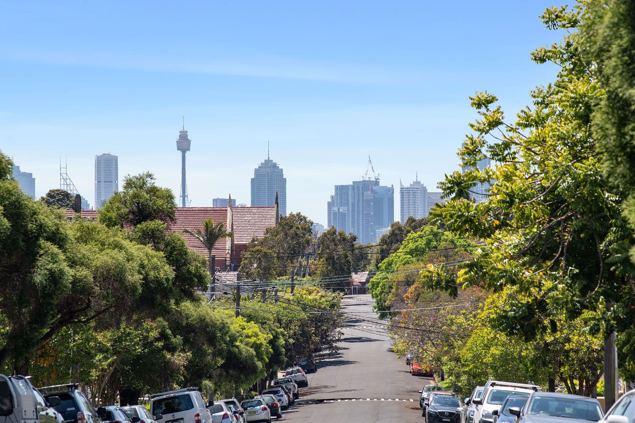 244 Albany Road, Petersham - Thumbnail 3