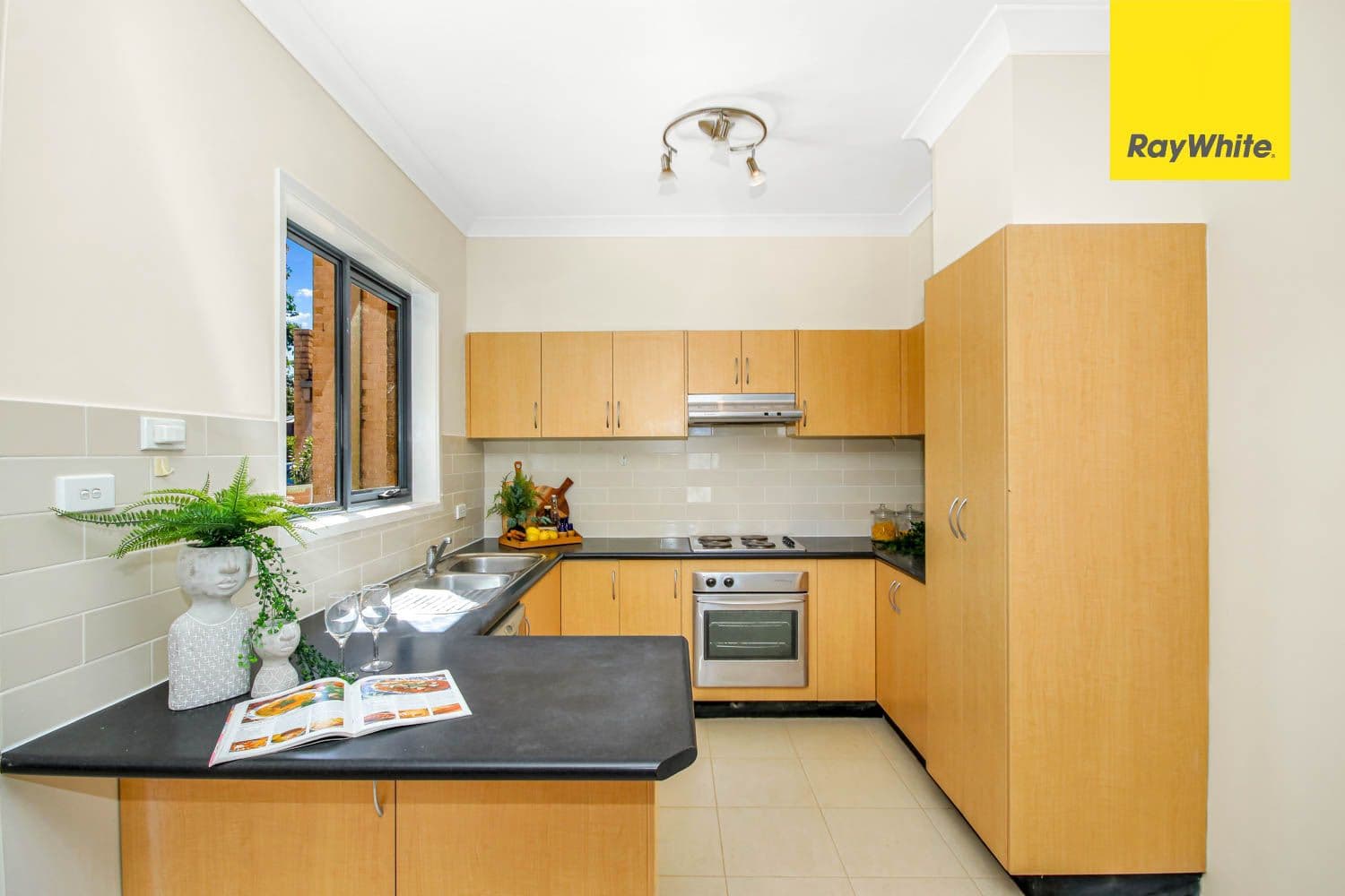 1 McCoy Street, Toongabbie NSW 2146, Toongabbie - Thumbnail 8