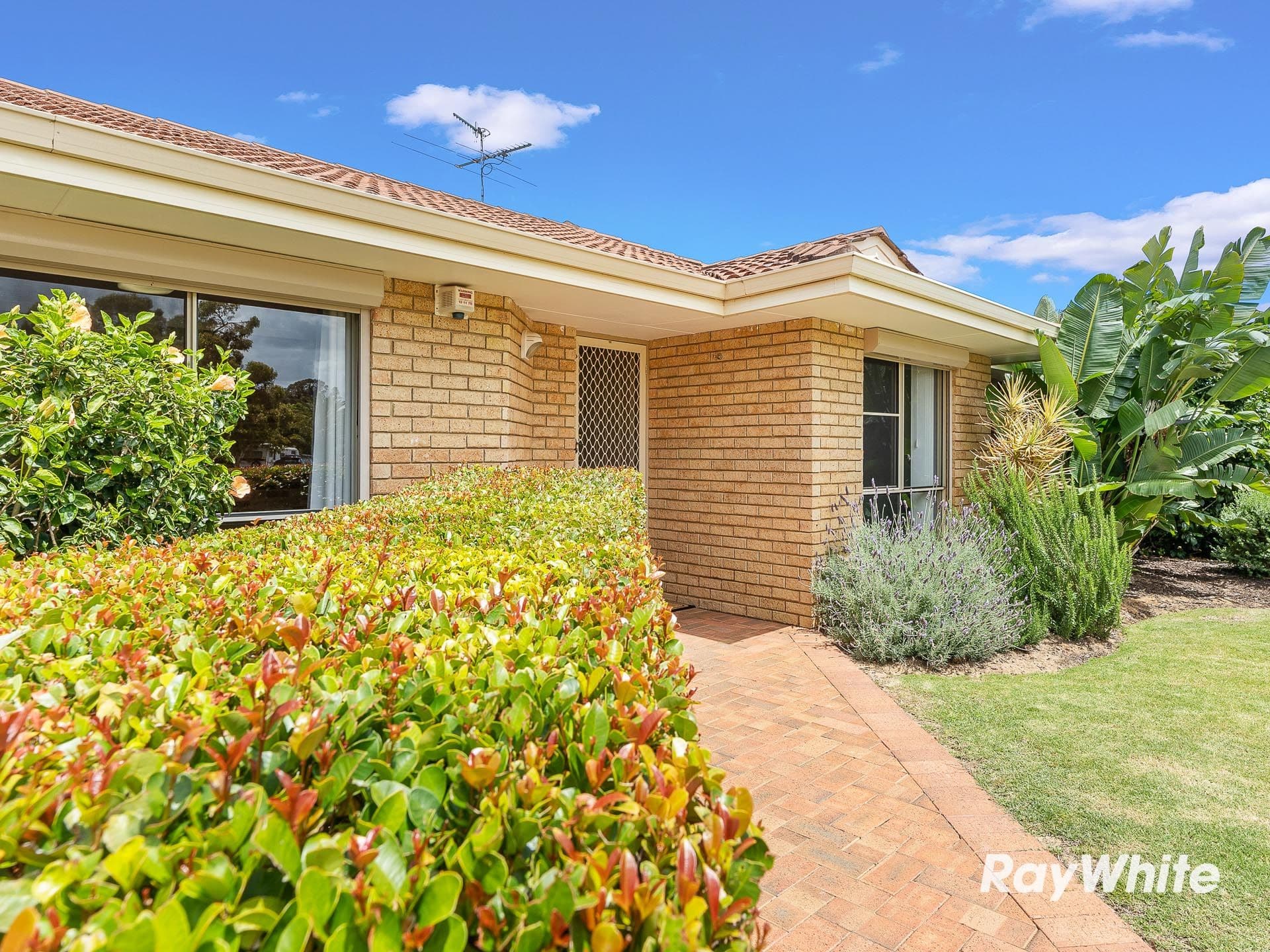 5 Maitland Close, Halls Head WA 6210, Halls Head - Thumbnail 2