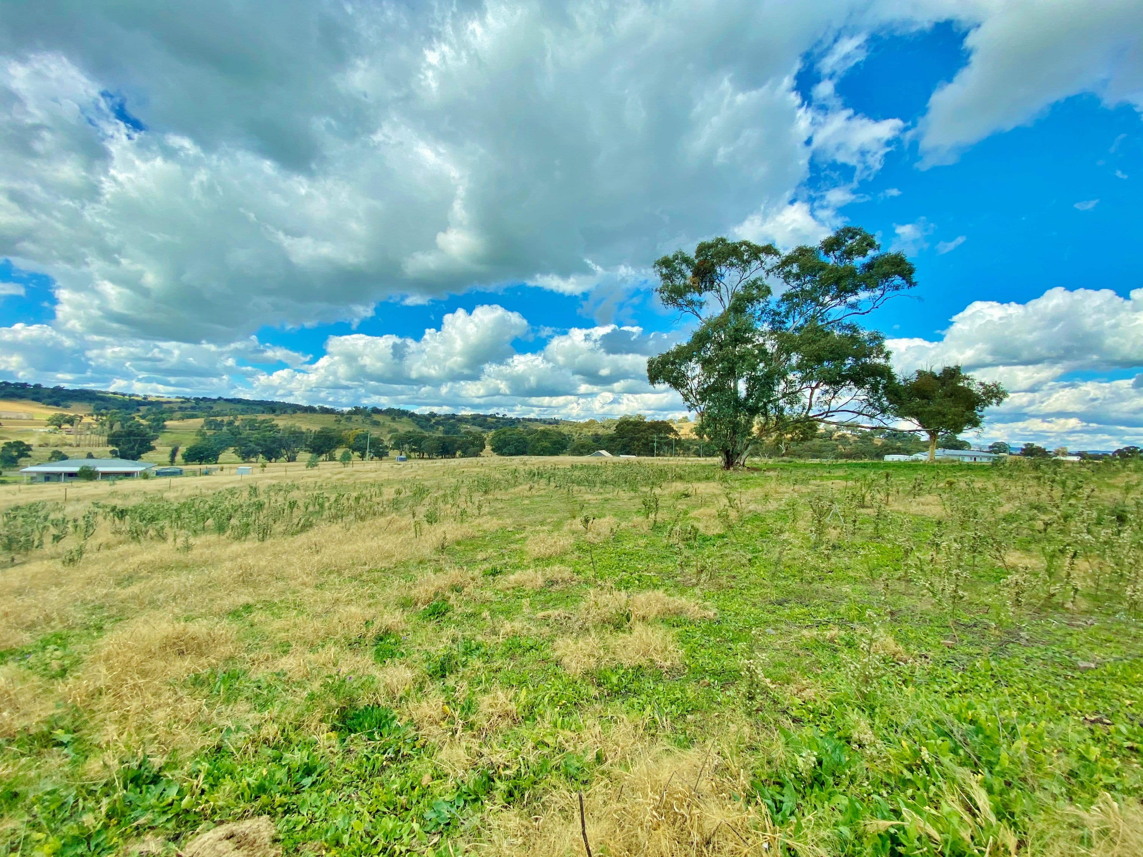 91 Dowling Drive via Murringo, Young NSW 2594, Young - Image 1