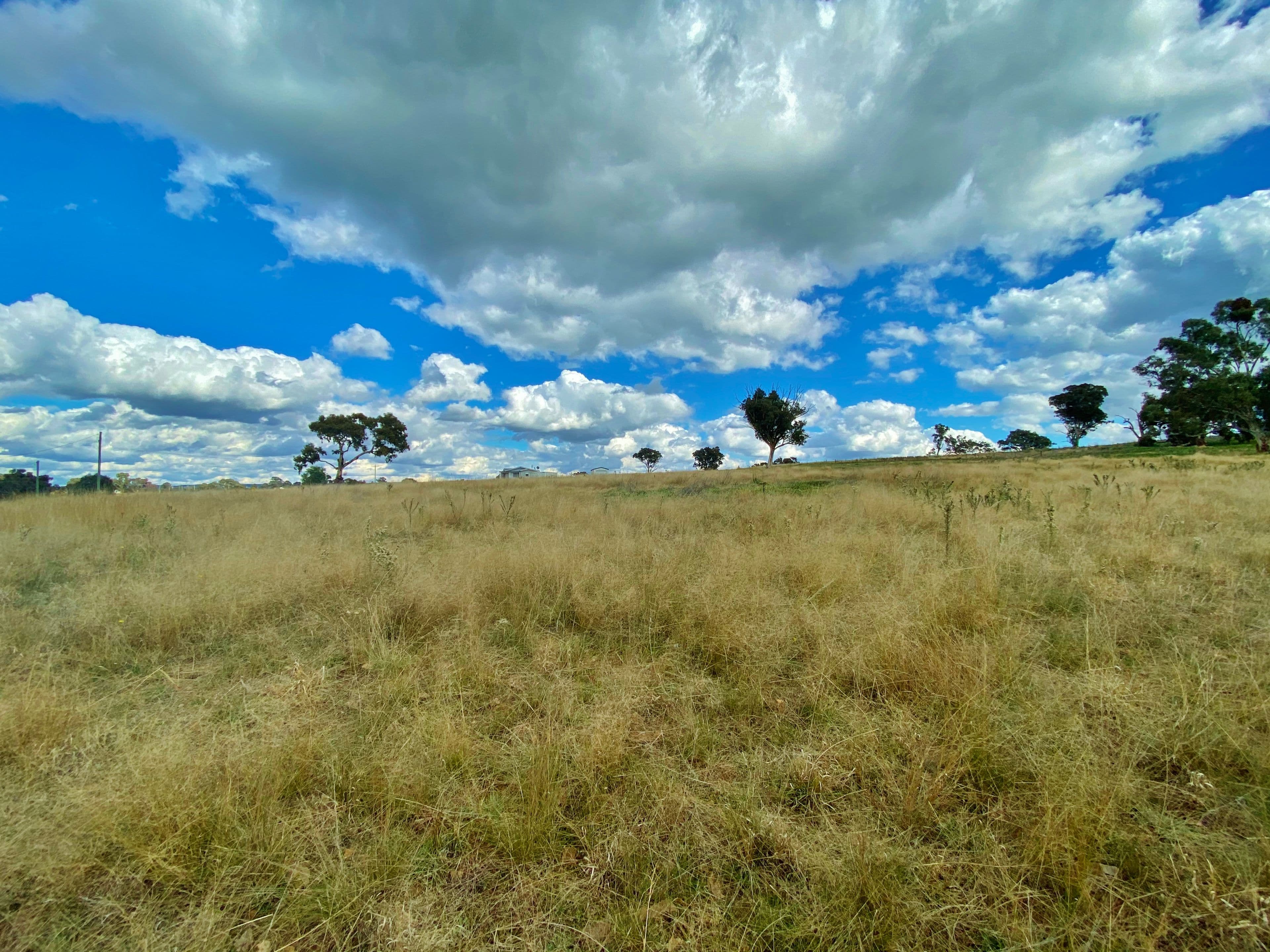 91 Dowling Drive via Murringo, Young NSW 2594, Young - Thumbnail 4
