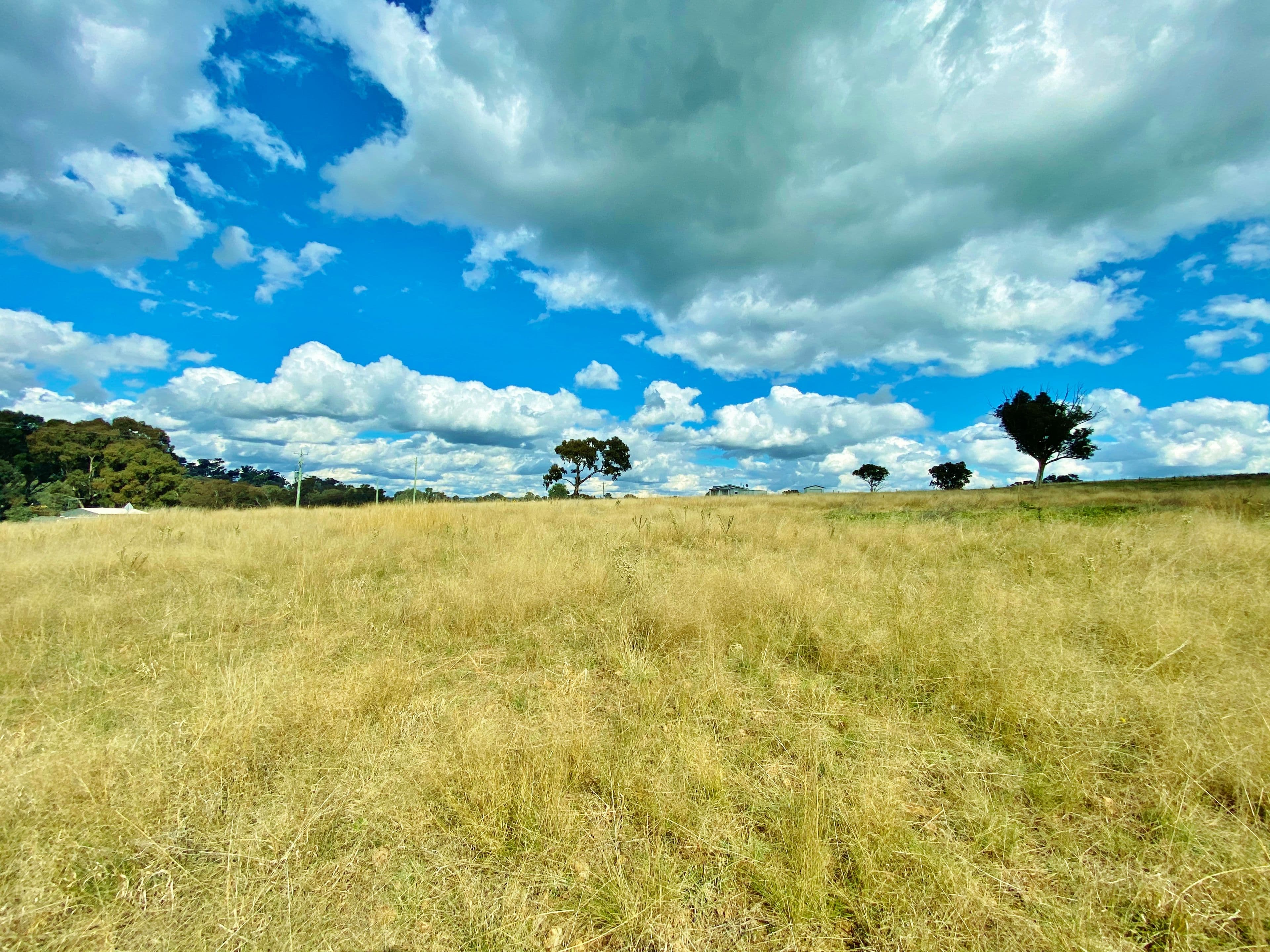 91 Dowling Drive via Murringo, Young NSW 2594, Young - Thumbnail 5