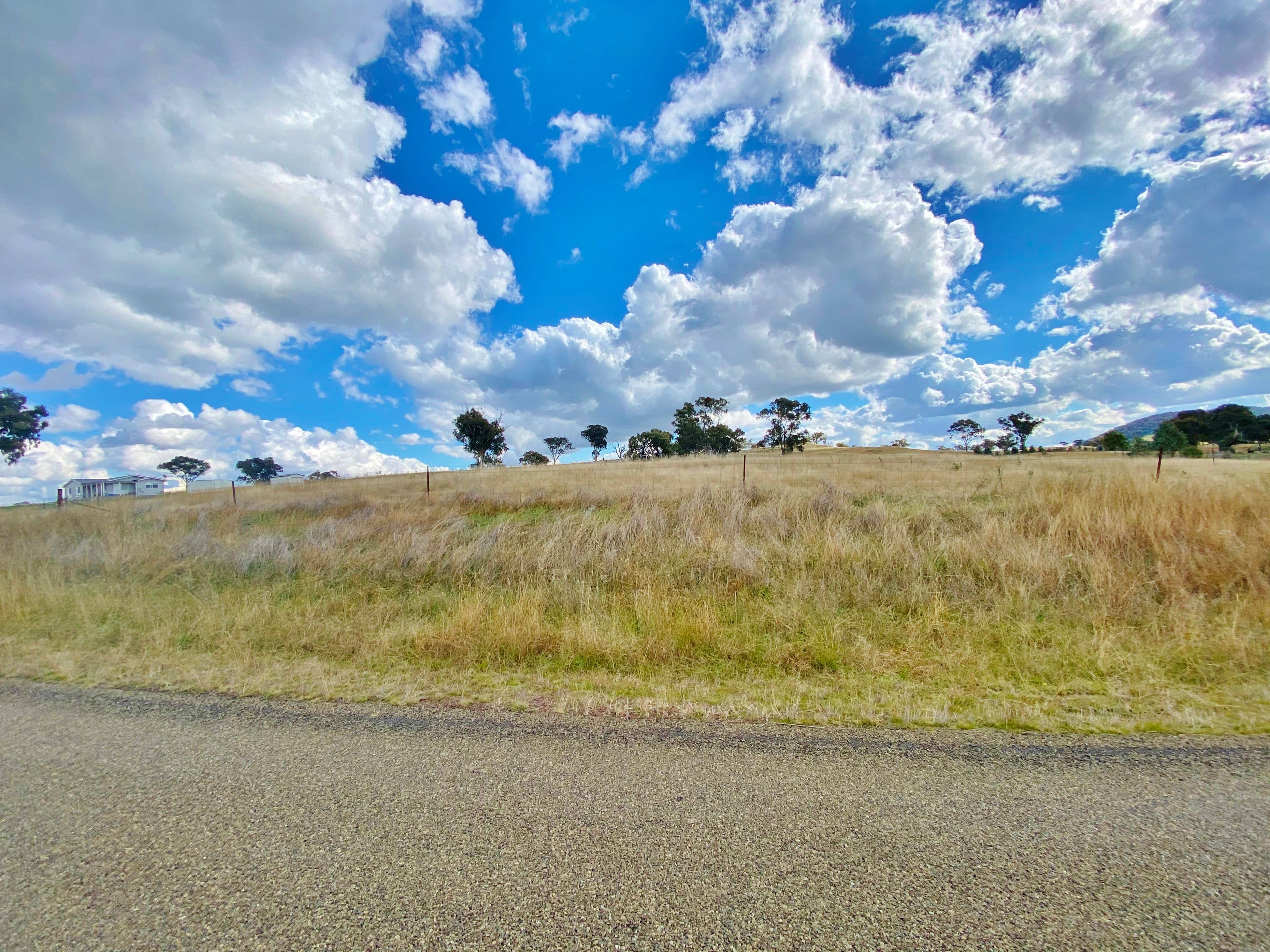 91 Dowling Drive via Murringo, Young NSW 2594, Young - Thumbnail 6