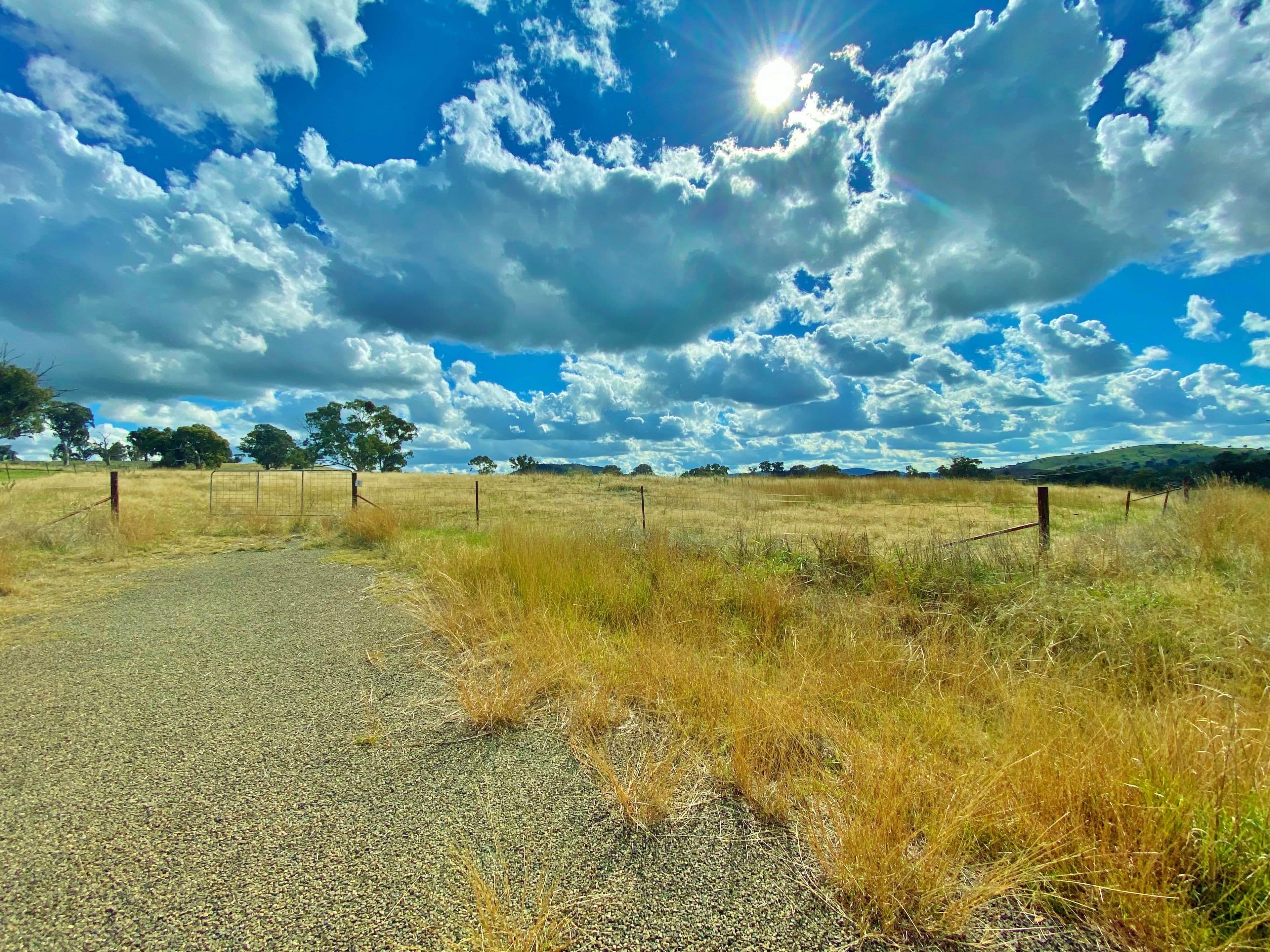 91 Dowling Drive via Murringo, Young NSW 2594, Young - Thumbnail 7