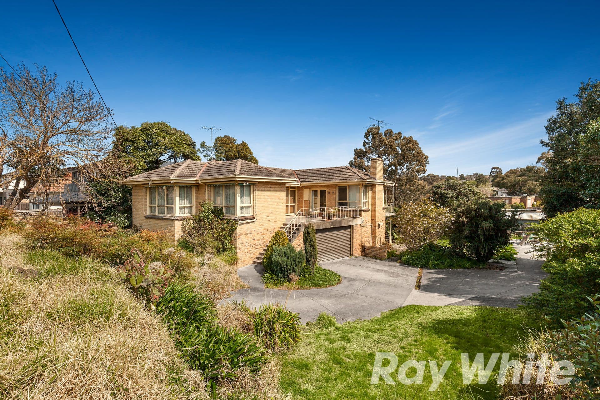 131 Rosanna Road, Rosanna VIC 3084, Rosanna - Thumbnail 3