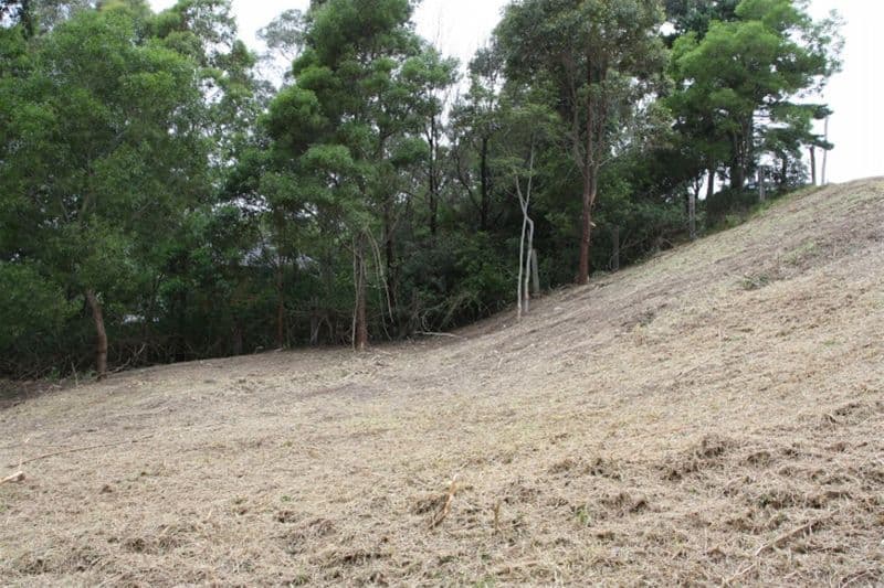 50  George, BULLI NSW 2516, Bulli - Thumbnail 2