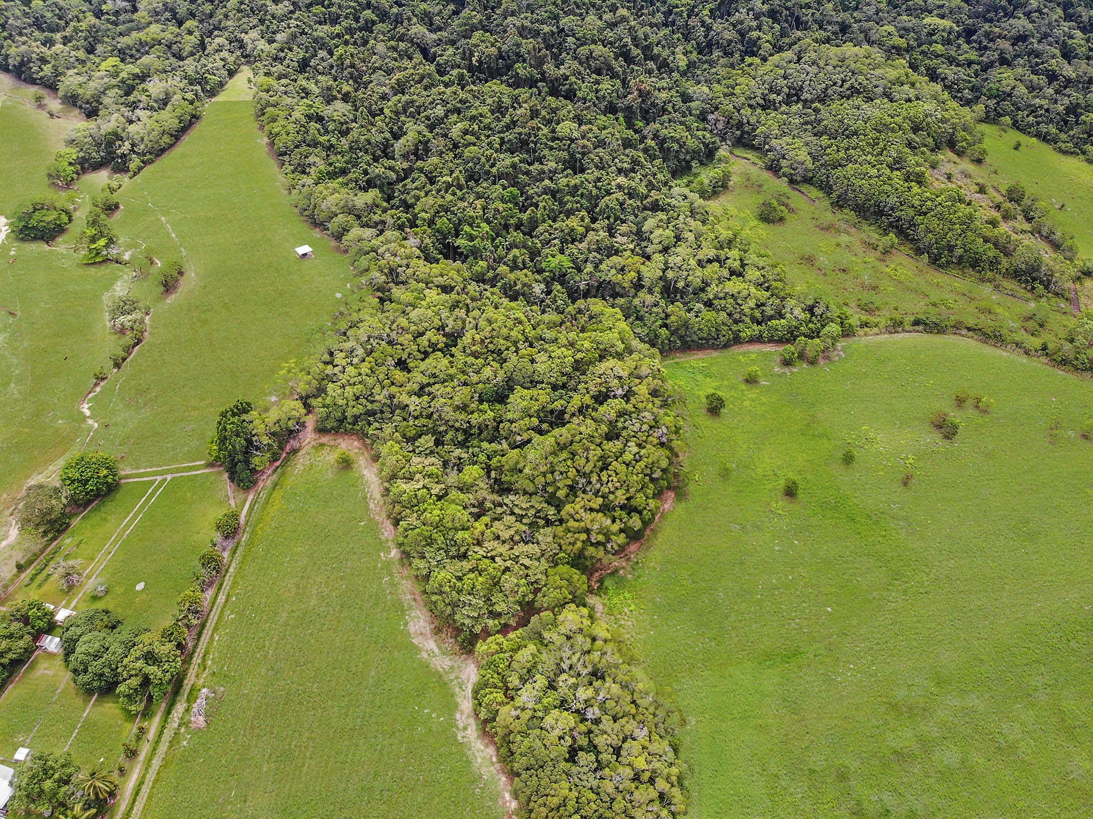 Lot 1 Lavers Road, Daintree QLD 4873, Lower Daintree - Thumbnail 3