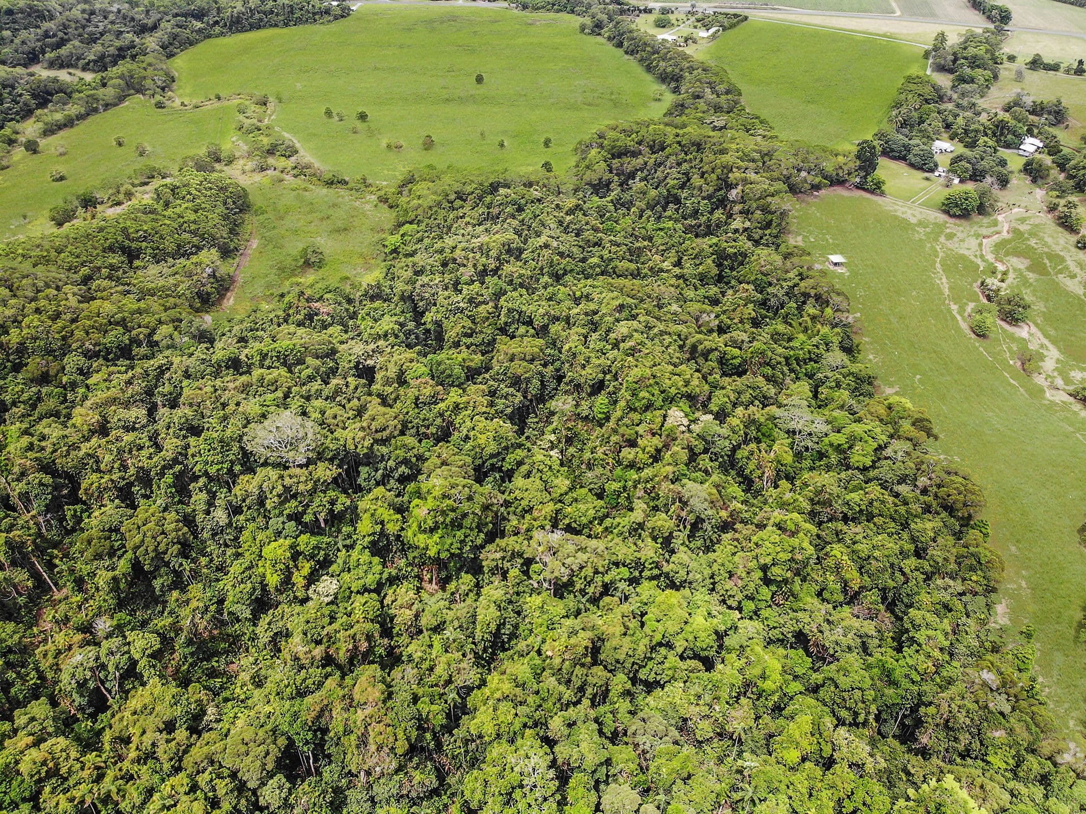 Lot 1 Lavers Road, Daintree QLD 4873, Lower Daintree - Thumbnail 5