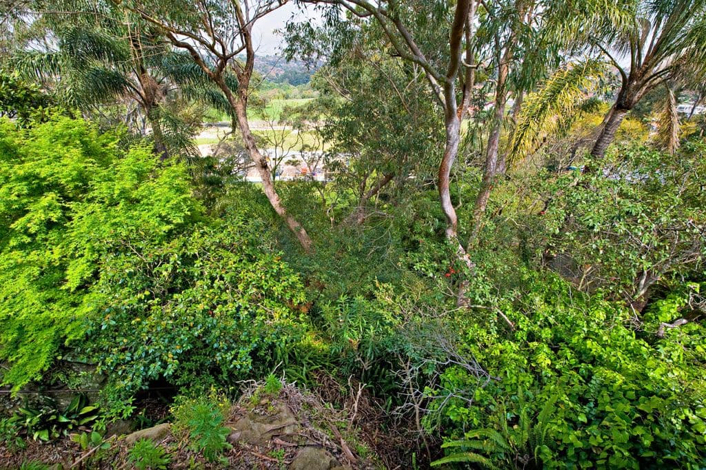 1 David Street, EARLWOOD NSW 2206, Earlwood - Thumbnail 2