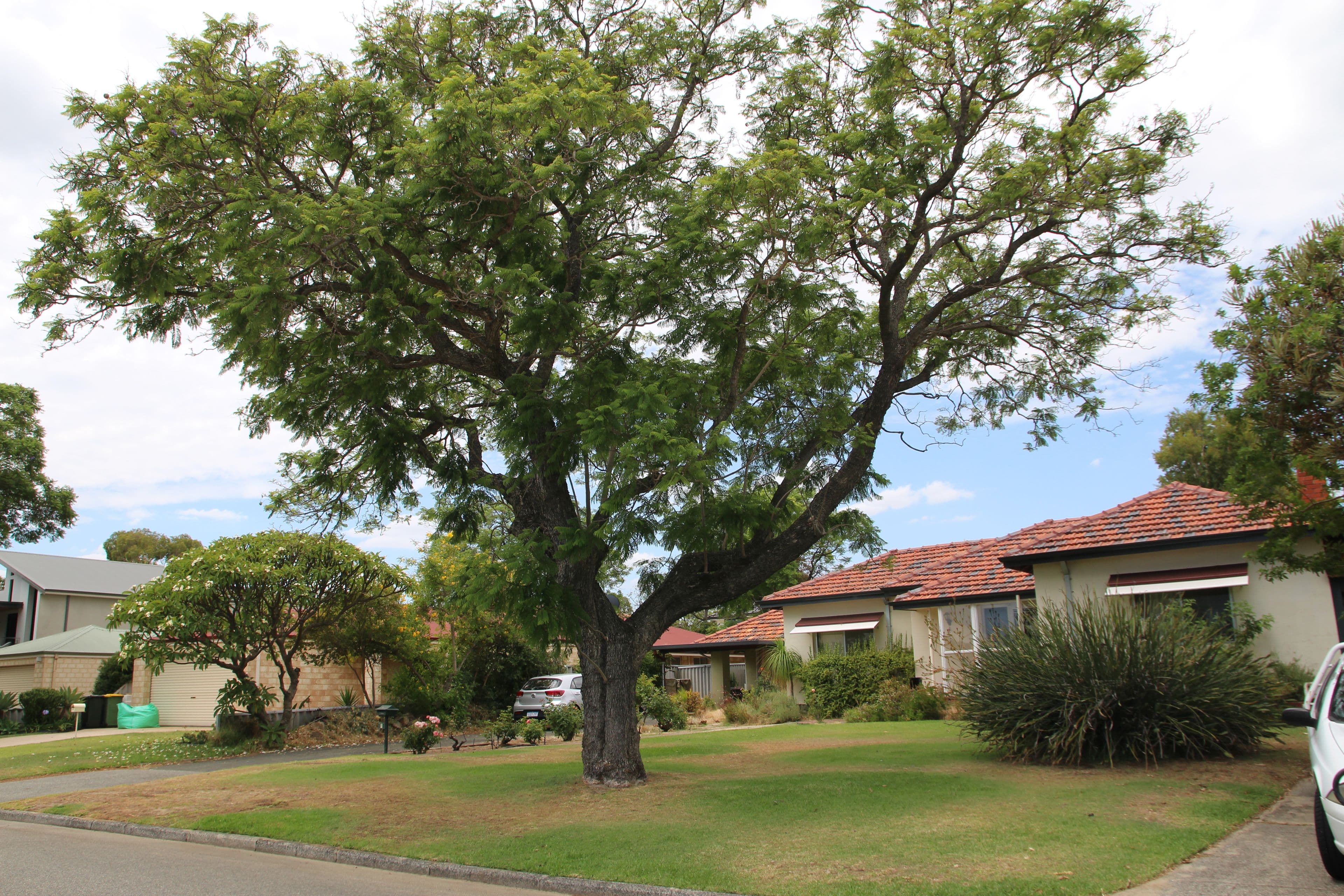 7 Ventnor Avenue, Mount Pleasant WA 6153, Mount Pleasant - Thumbnail 3