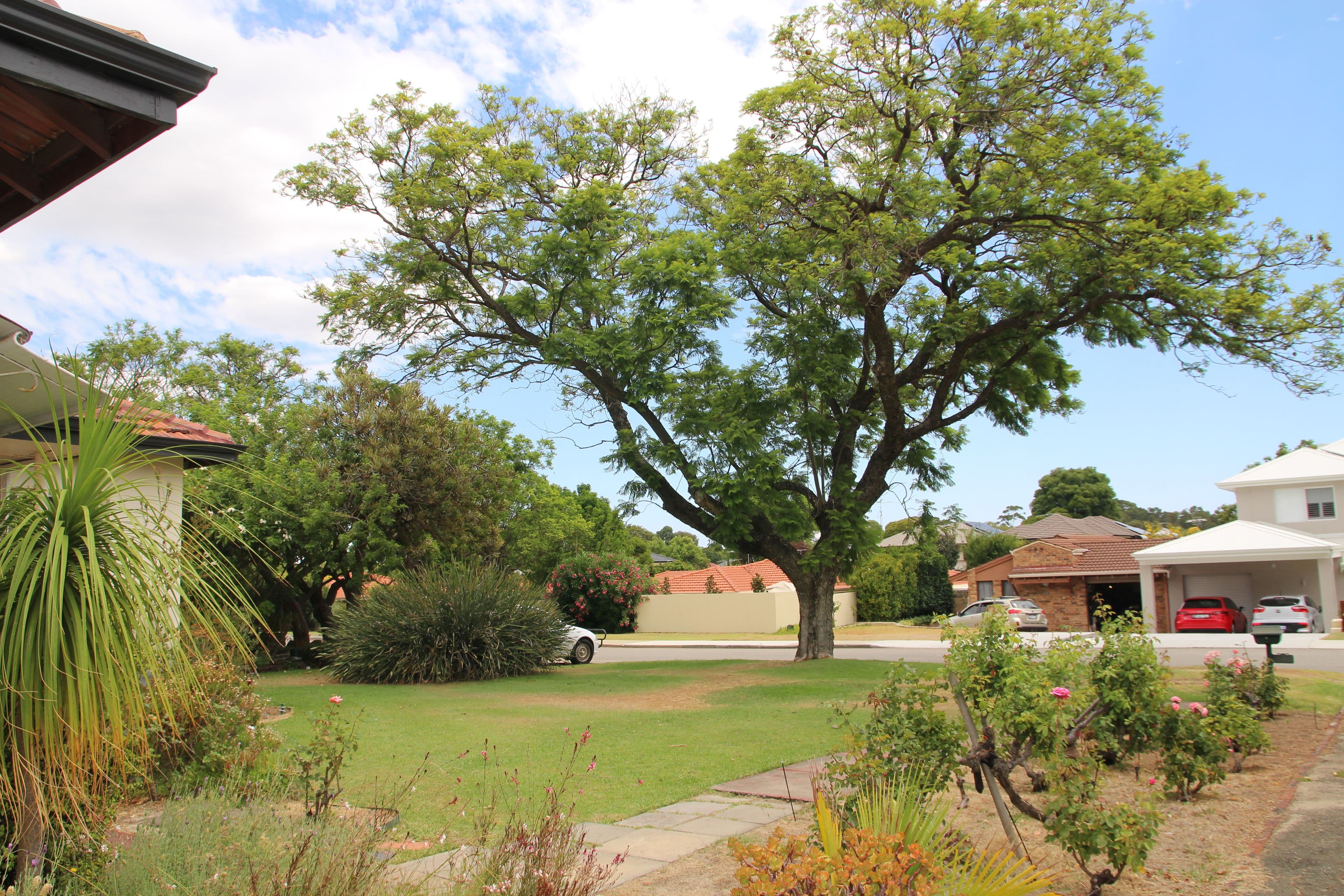 7 Ventnor Avenue, Mount Pleasant WA 6153, Mount Pleasant - Thumbnail 4