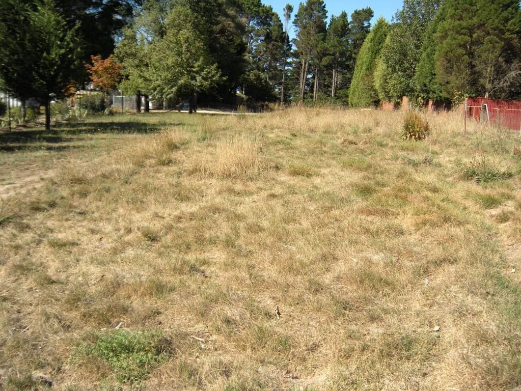 59 (Lot d) Great Western Highway, MOUNT VICTORIA NSW 2786, Mount Victoria - Image 1