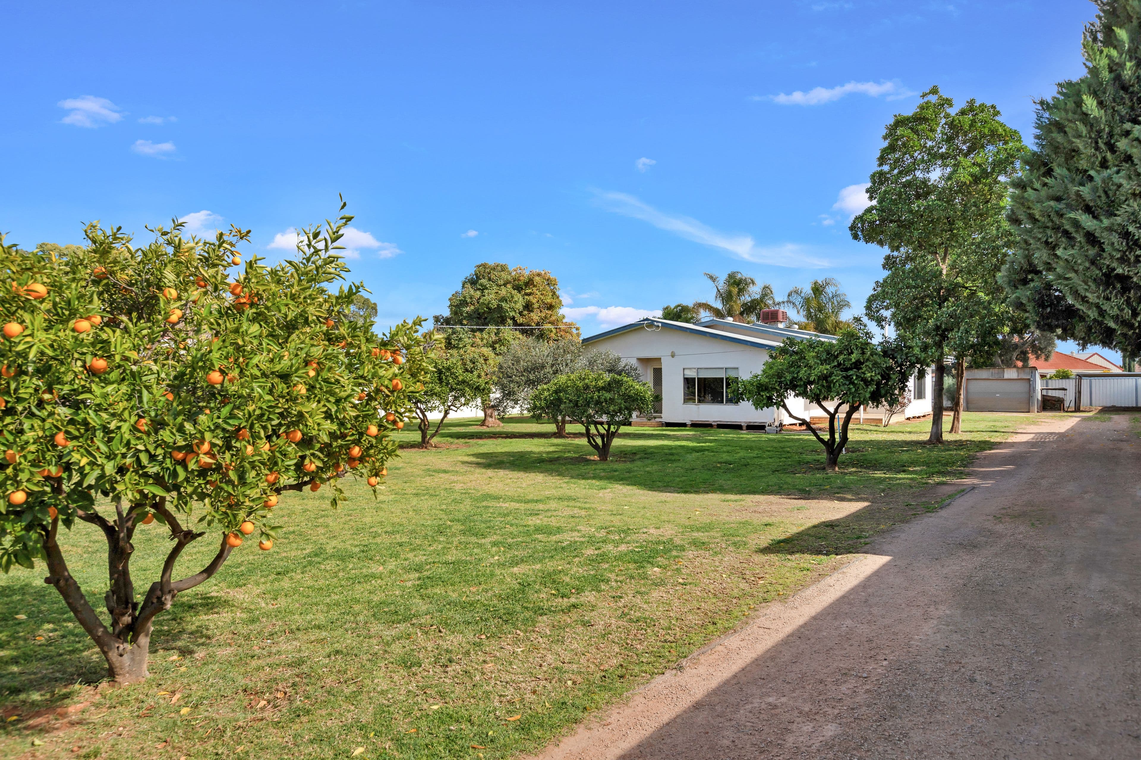 597 San Mateo Avenue, Mildura VIC 3500, Mildura - Thumbnail 2