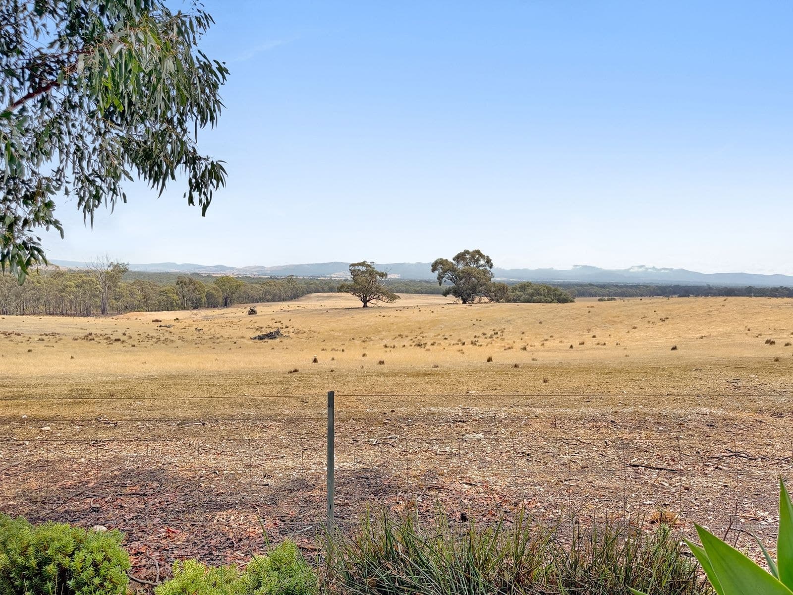 554 Caralulup Road, Lamplough VIC 3352, Lamplough - Thumbnail 2