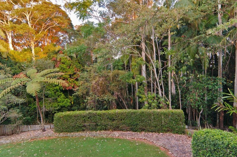 41 Courcheval Terrace, BUDERIM QLD 4556, Buderim - Thumbnail 3