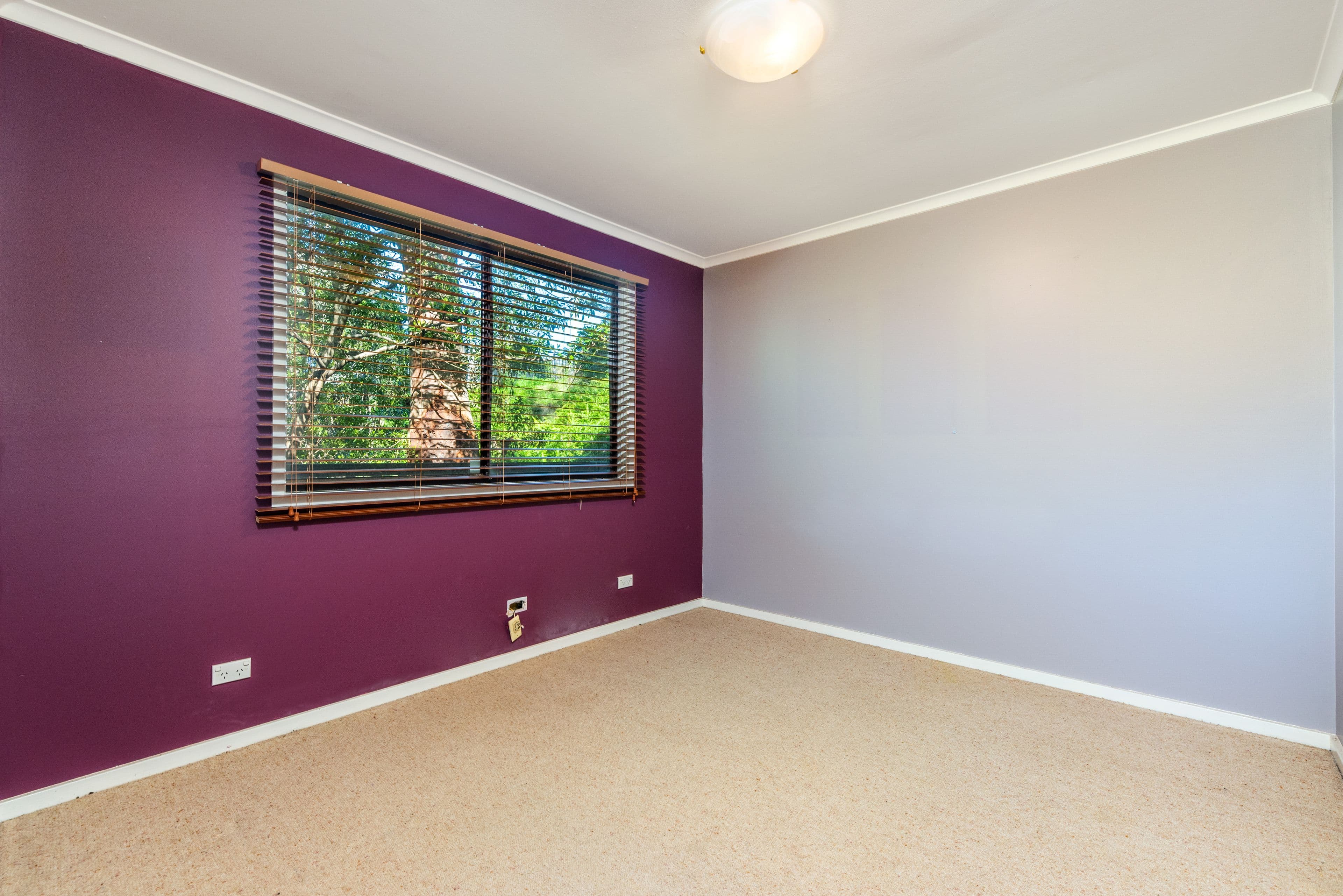 15 Pye Avenue, Northmead NSW 2152, Northmead - Thumbnail 8