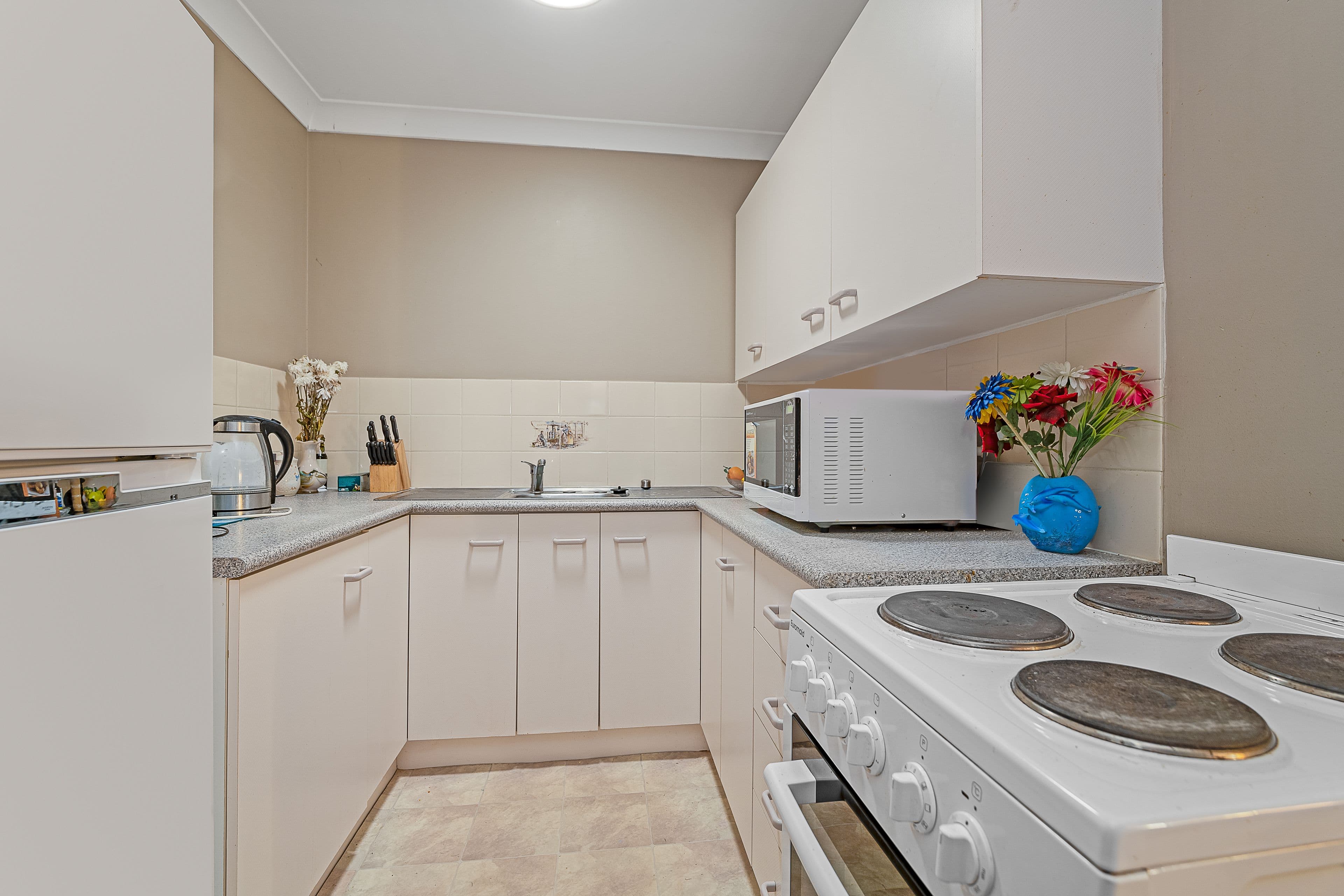 5 Justine Parade, Rutherford NSW 2320, Rutherford - Thumbnail 3
