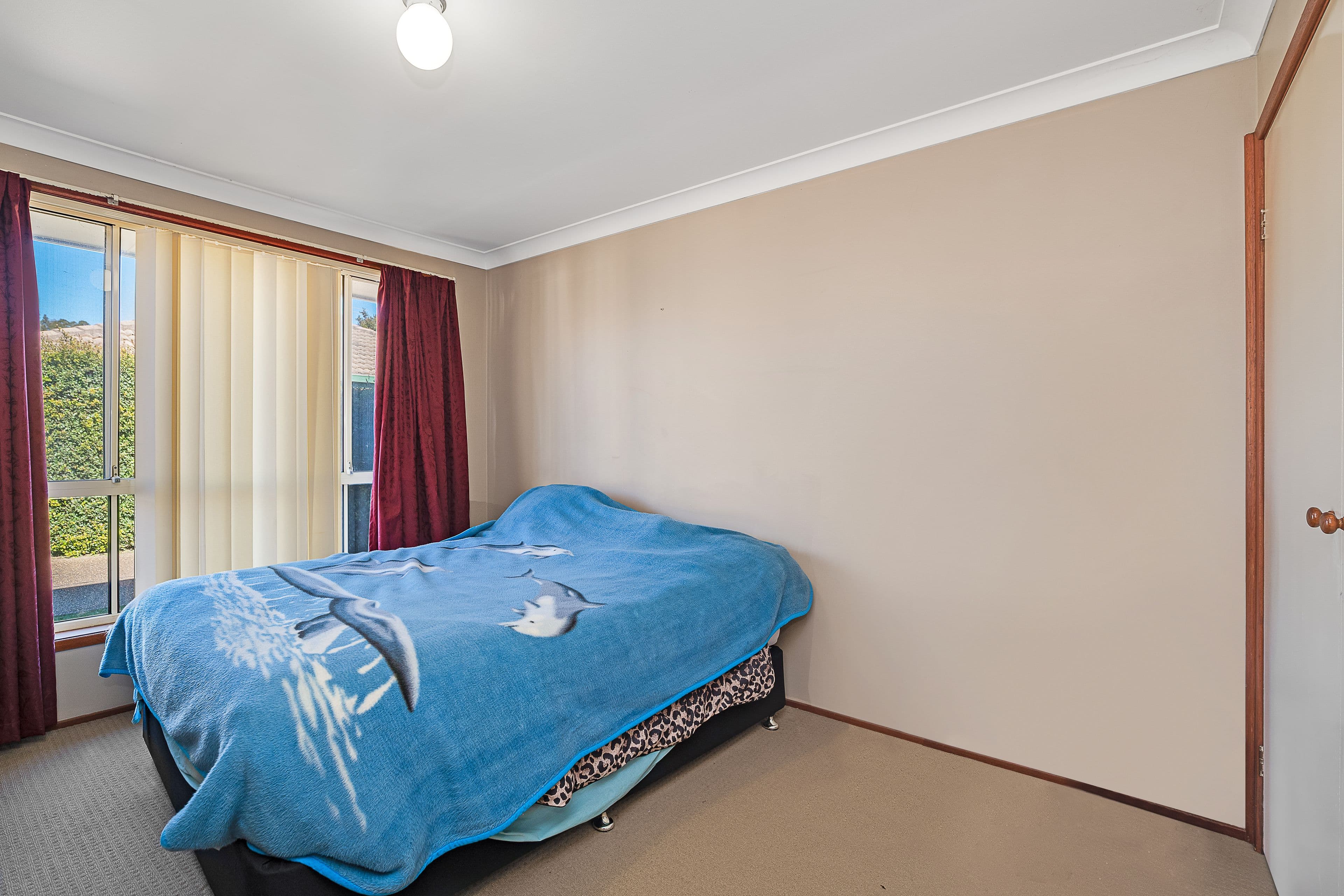 5 Justine Parade, Rutherford NSW 2320, Rutherford - Thumbnail 4