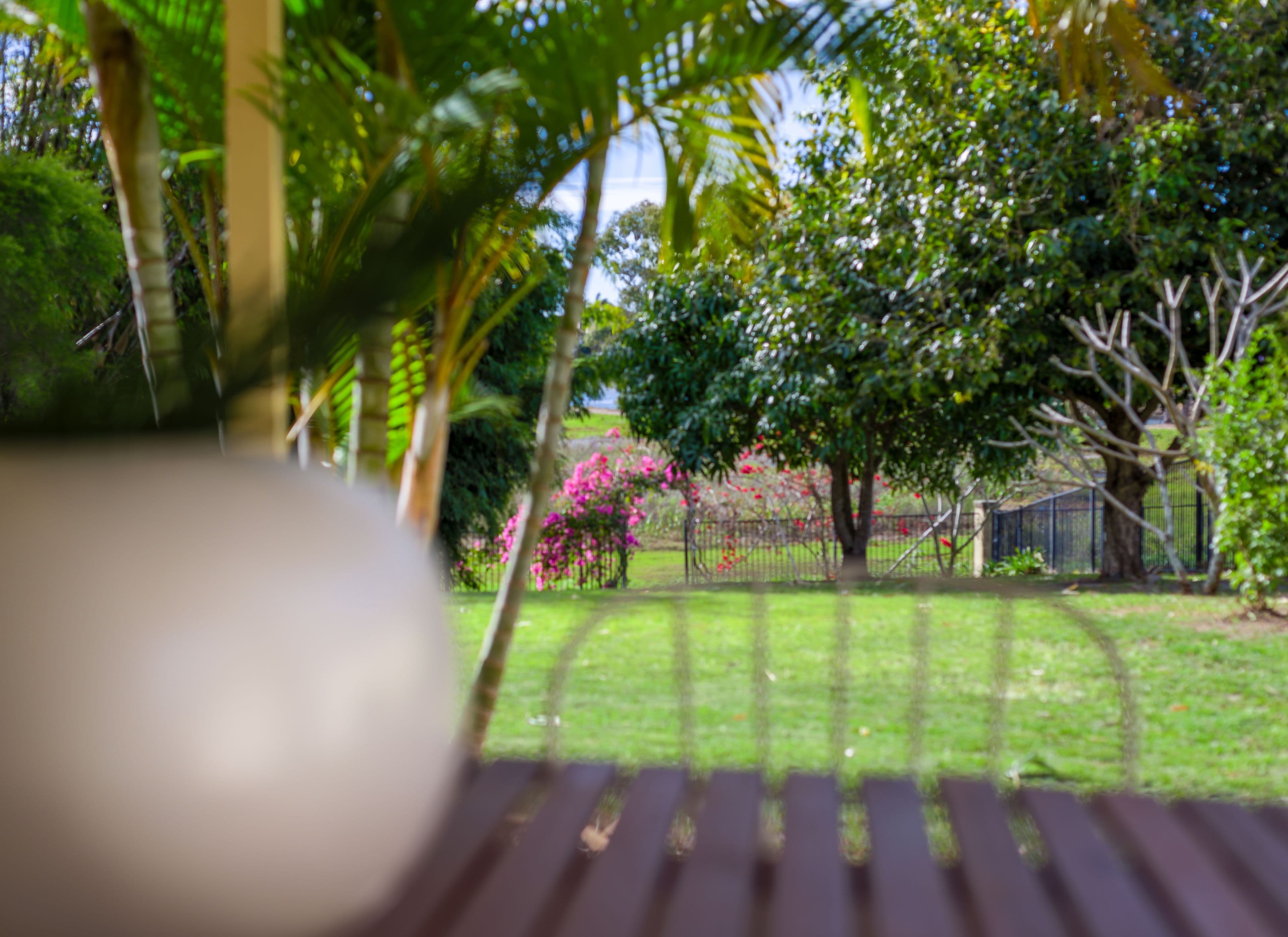24 Woody Views Way, Robina QLD 4226, Robina - Thumbnail 2