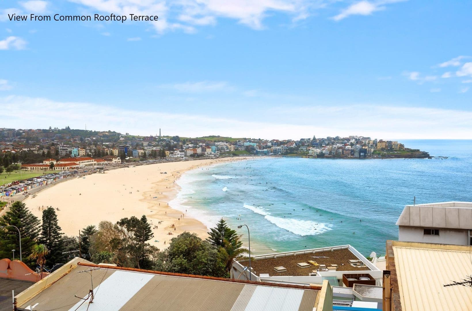 7 Francis Street, Bondi Beach NSW 2026, Bondi Beach - Thumbnail 6
