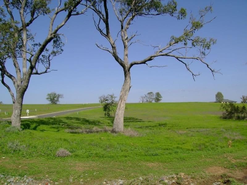 Lot 15 Condavale Drive, WARWICK QLD 4370, Warwick - Thumbnail 3