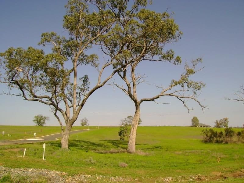 Lot 15 Condavale Drive, WARWICK QLD 4370, Warwick - Thumbnail 7